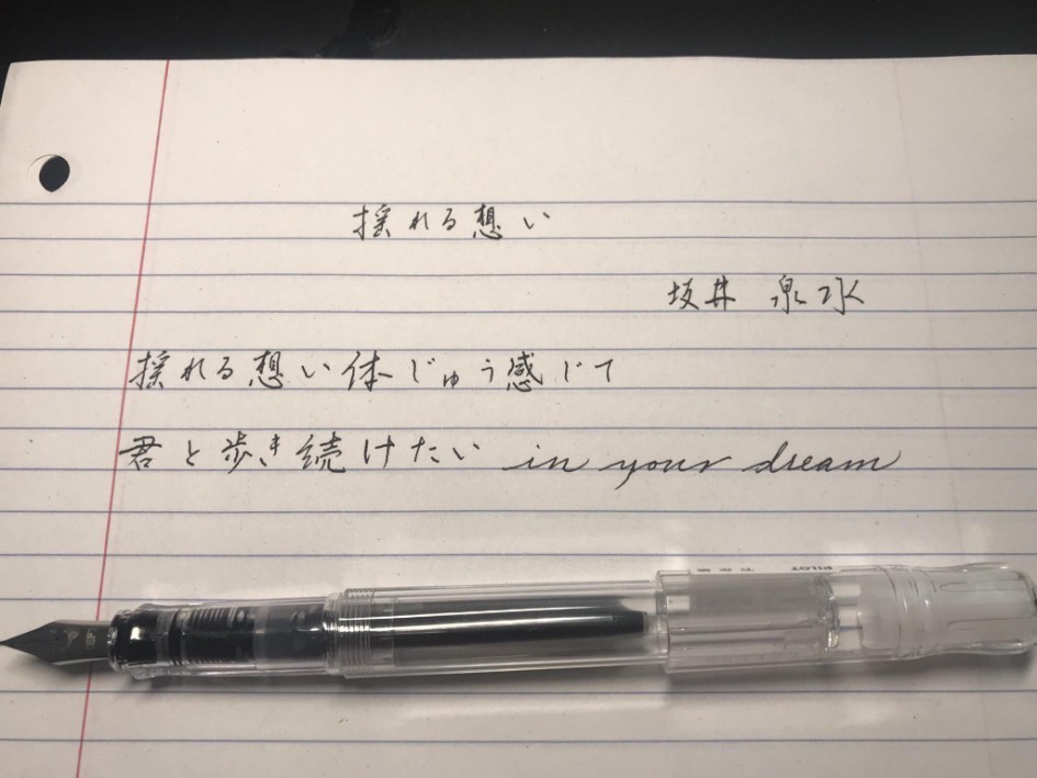 Penmanship pen extra fine