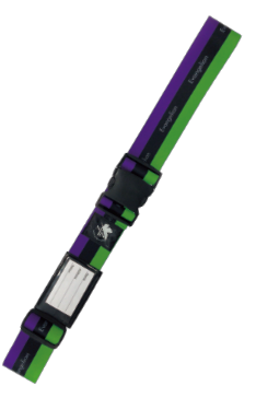 《新世紀福音戰士劇場版》周邊大集合 - EVA x 愛電王Edion「家電補計劃」