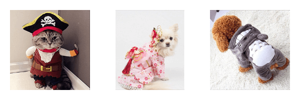 Buy Pet Clothes on ZenMarket