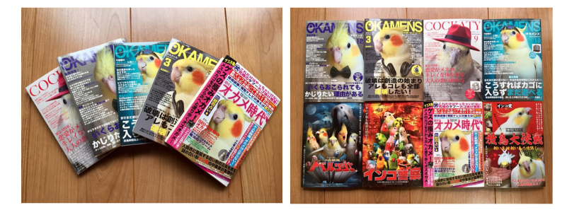 Parrot magazines transformed into notepads