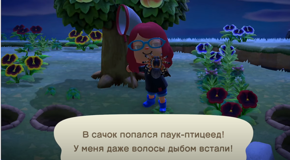 Японская игра Animal Crossing на ZenMarket