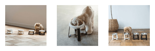 Buy pecolo Elevated Pet Bowls on ZenMarket