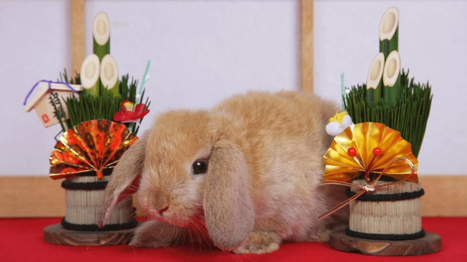 two small kadomatsu and a cute rabbit