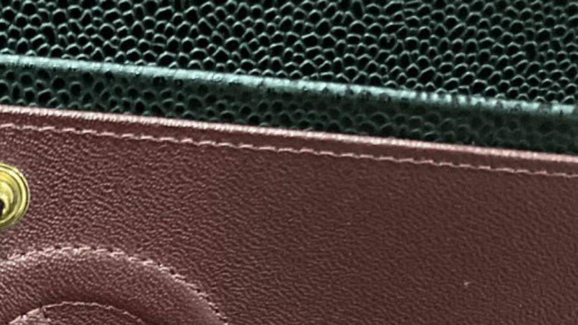 Chanel Bag lining