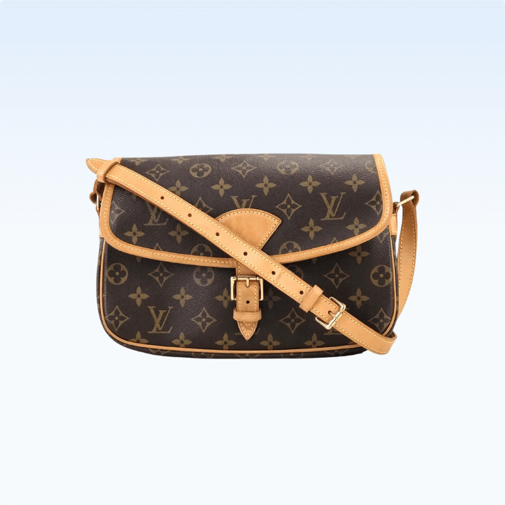Bolsa de Luis Vuitton