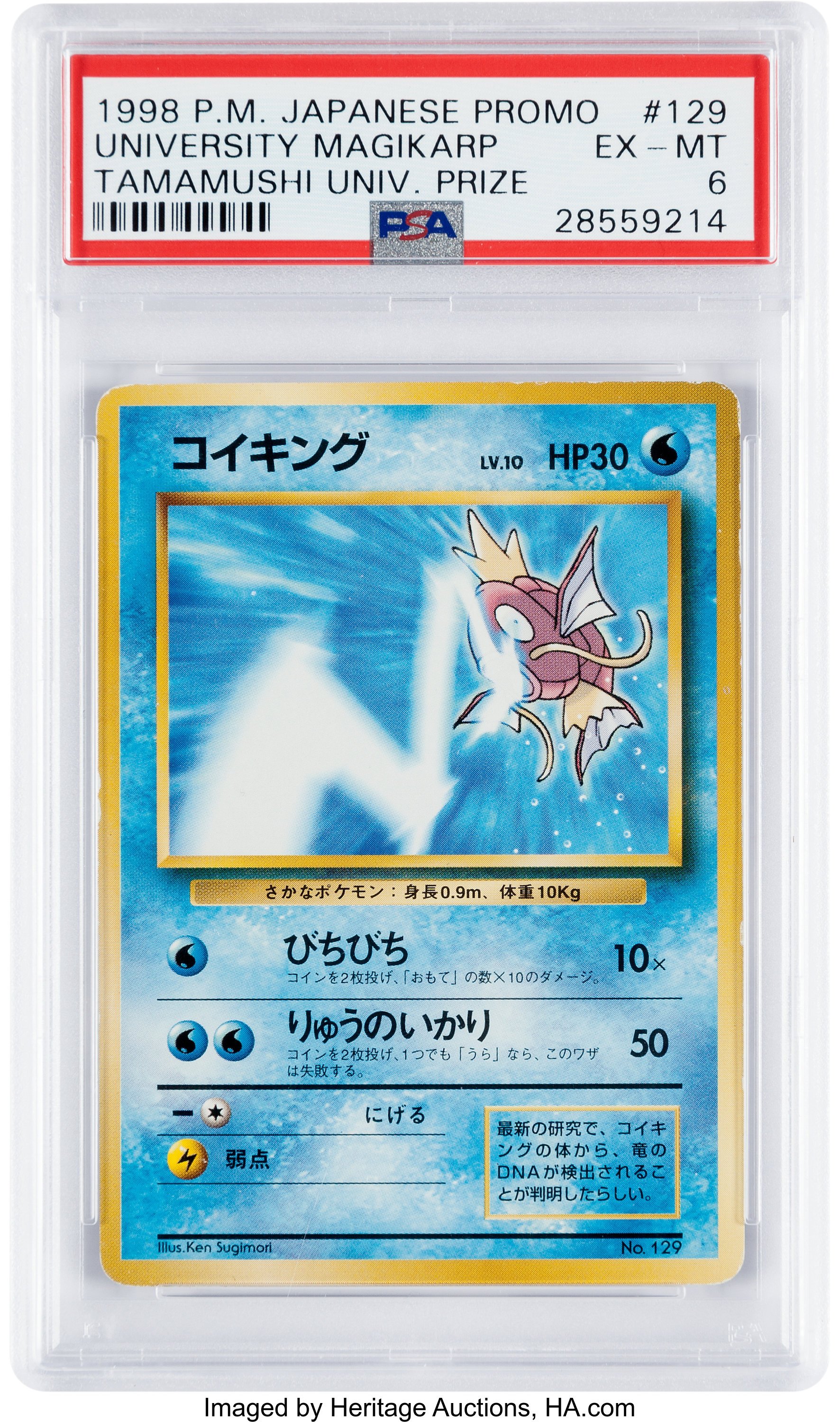 Carta de pokemon Magikarp de la Universidad de Tamamushi