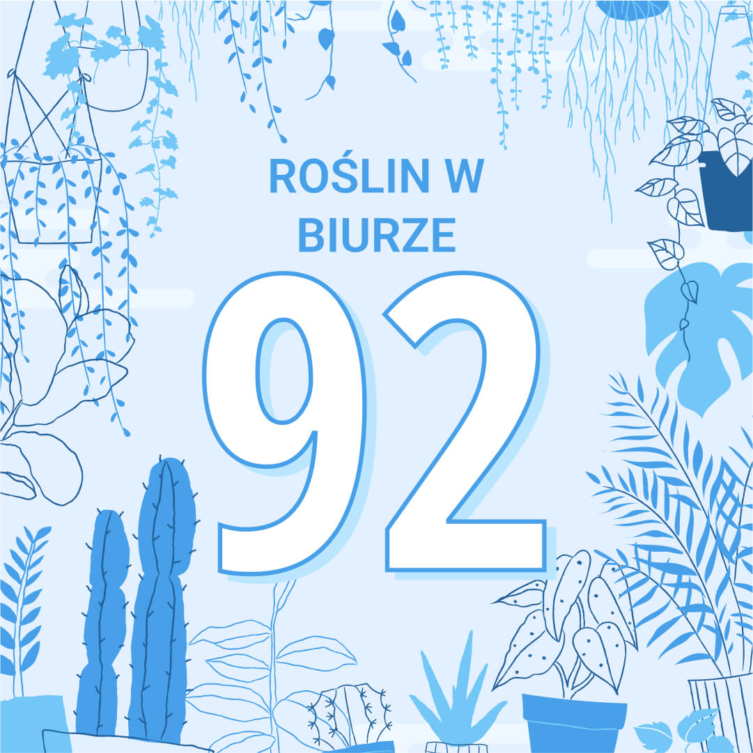 biuro rośliny zenmarket