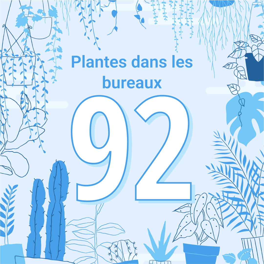 Infographie ZenMarket 10