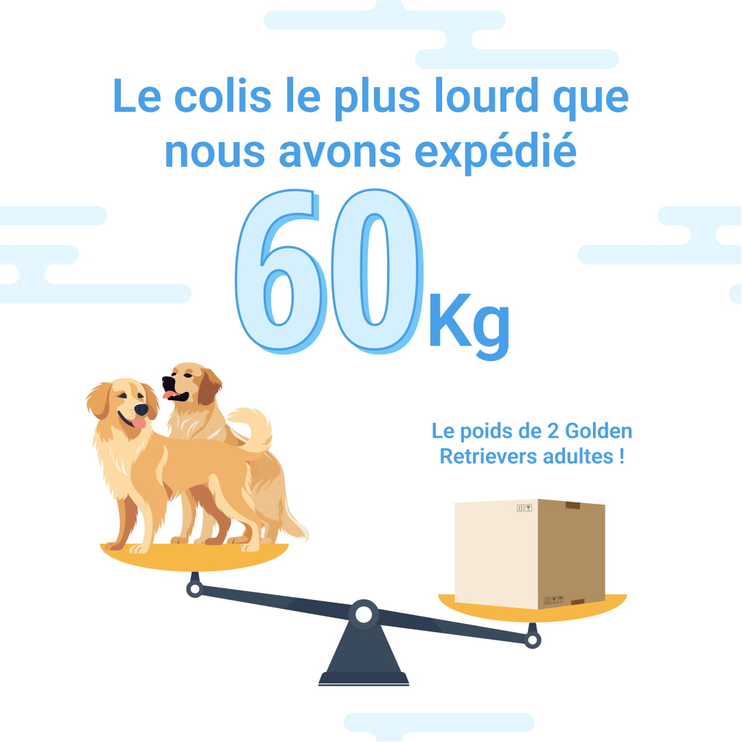 Infographie ZenMarket 8